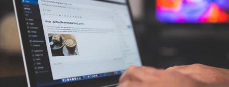 Wordpress Development and Woocommerce for E-commerce Online Shop Design and Development